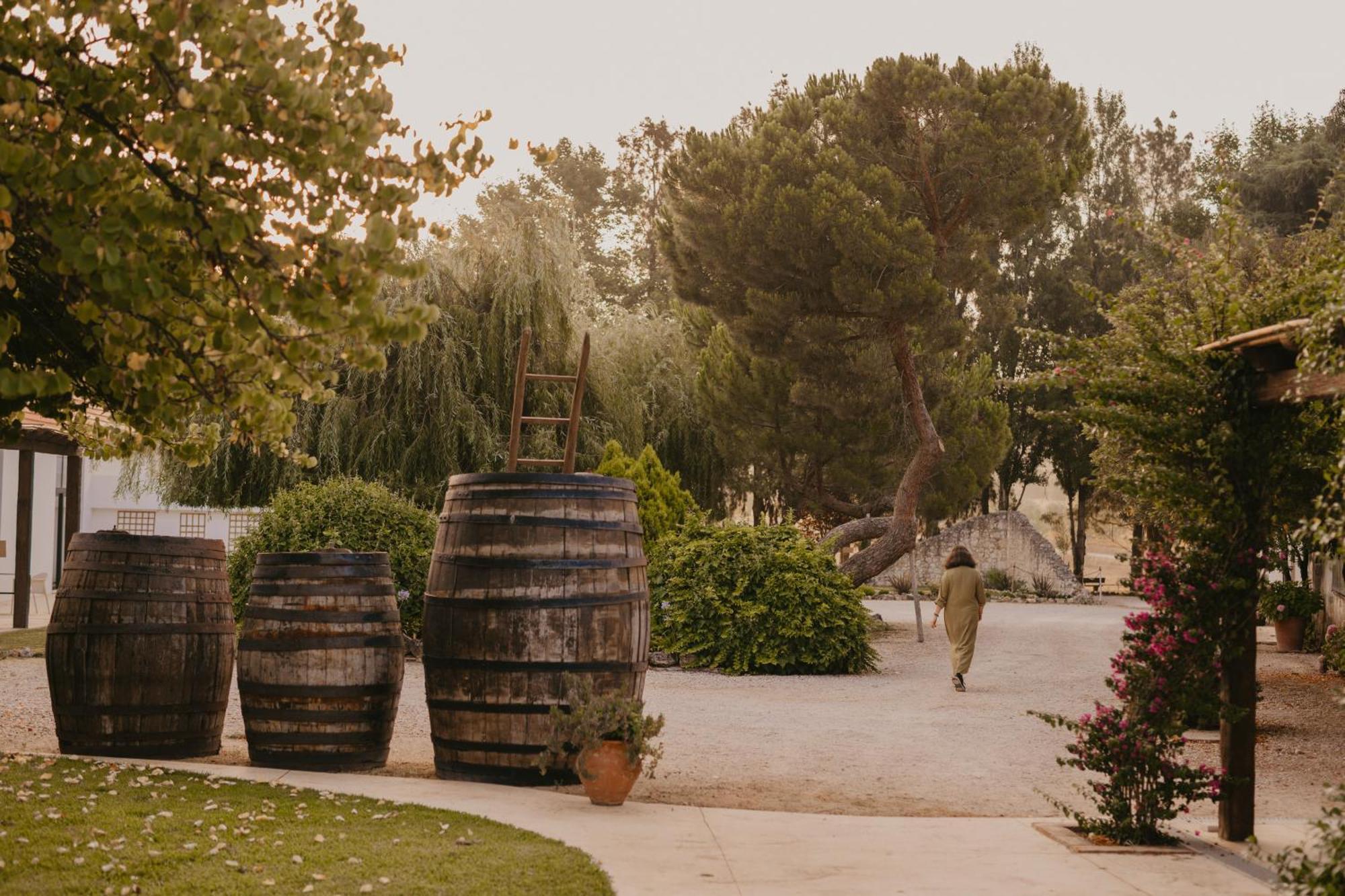 Hotel Quinta Carvalhas - The Green Farm à Casevel Extérieur photo