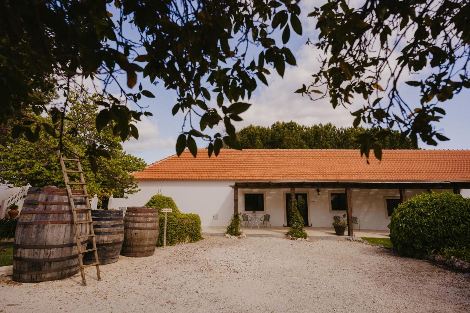 Hotel Quinta Carvalhas - The Green Farm à Casevel Extérieur photo