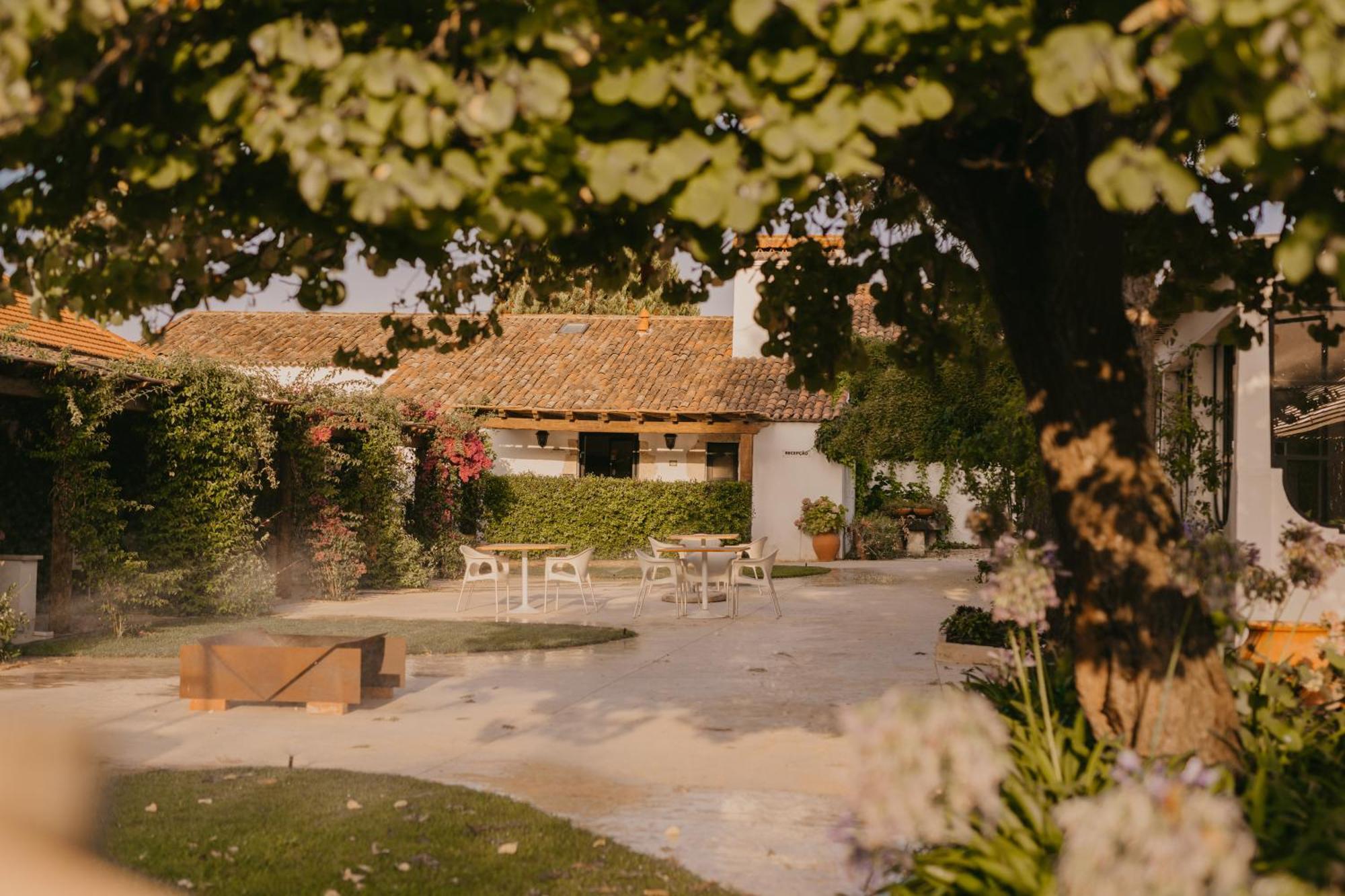 Hotel Quinta Carvalhas - The Green Farm à Casevel Extérieur photo