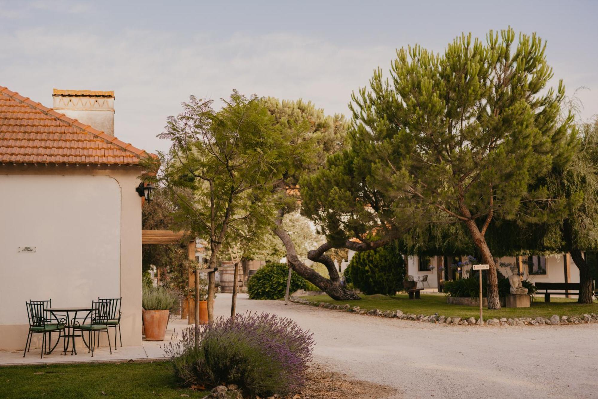 Hotel Quinta Carvalhas - The Green Farm à Casevel Extérieur photo