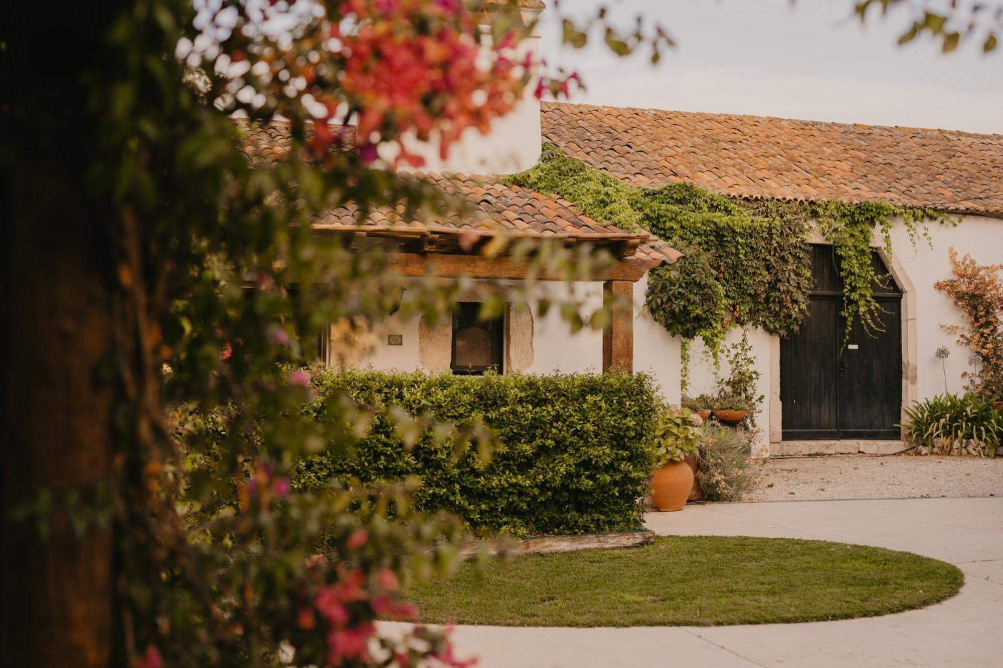 Hotel Quinta Carvalhas - The Green Farm à Casevel Extérieur photo