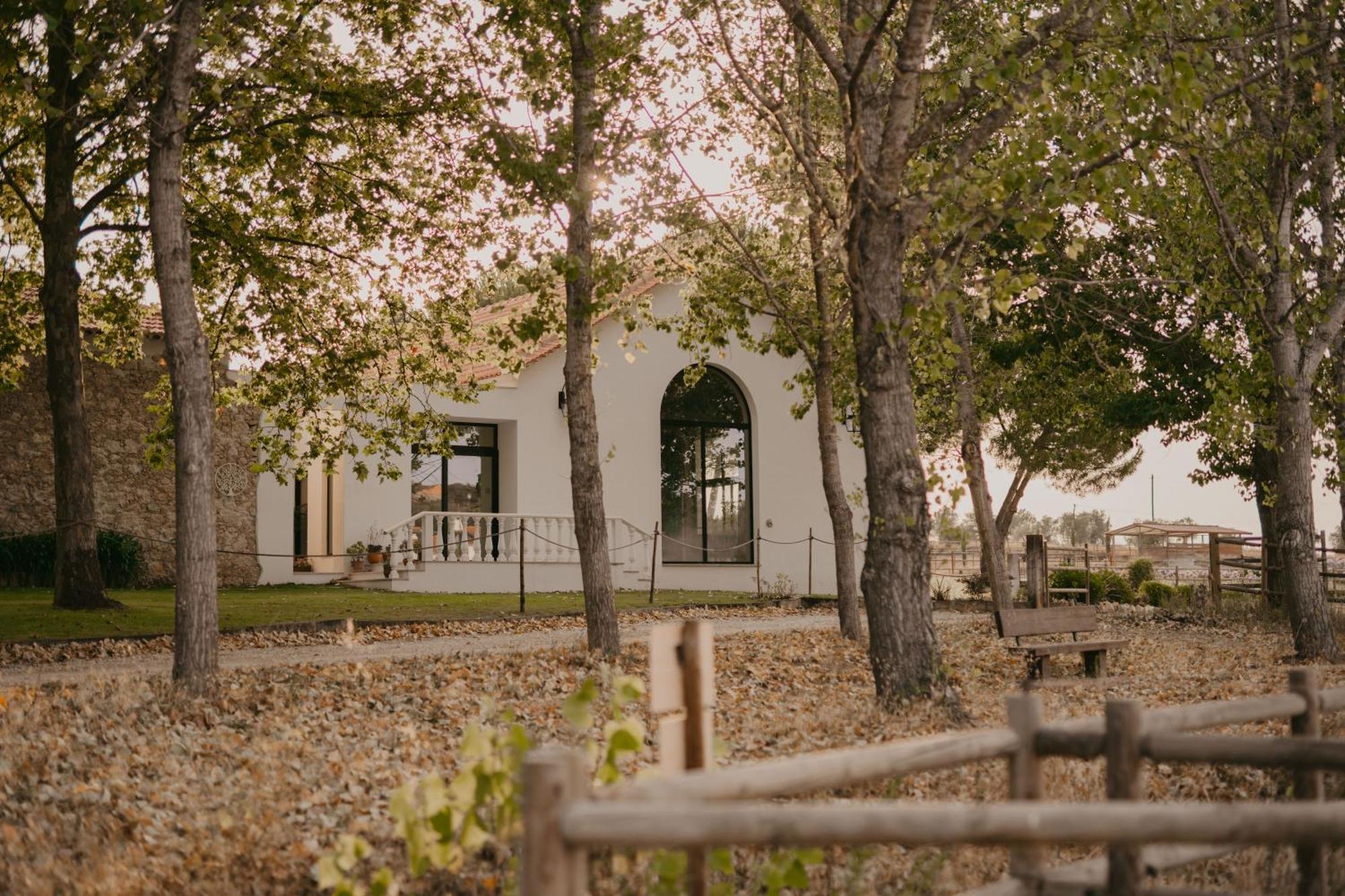 Hotel Quinta Carvalhas - The Green Farm à Casevel Extérieur photo