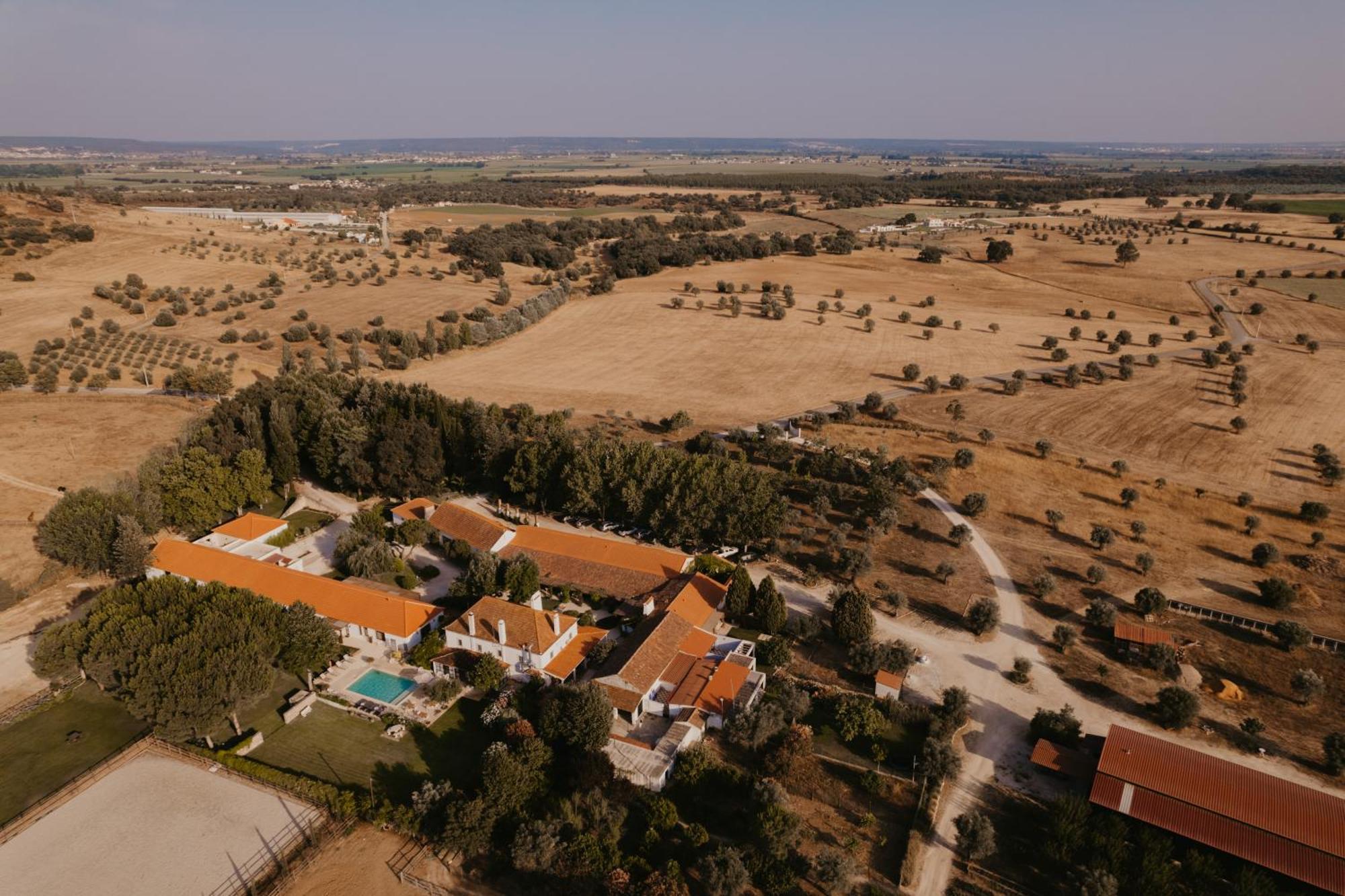 Hotel Quinta Carvalhas - The Green Farm à Casevel Extérieur photo